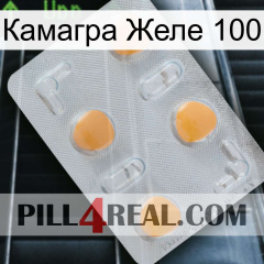 Камагра Желе 100 24